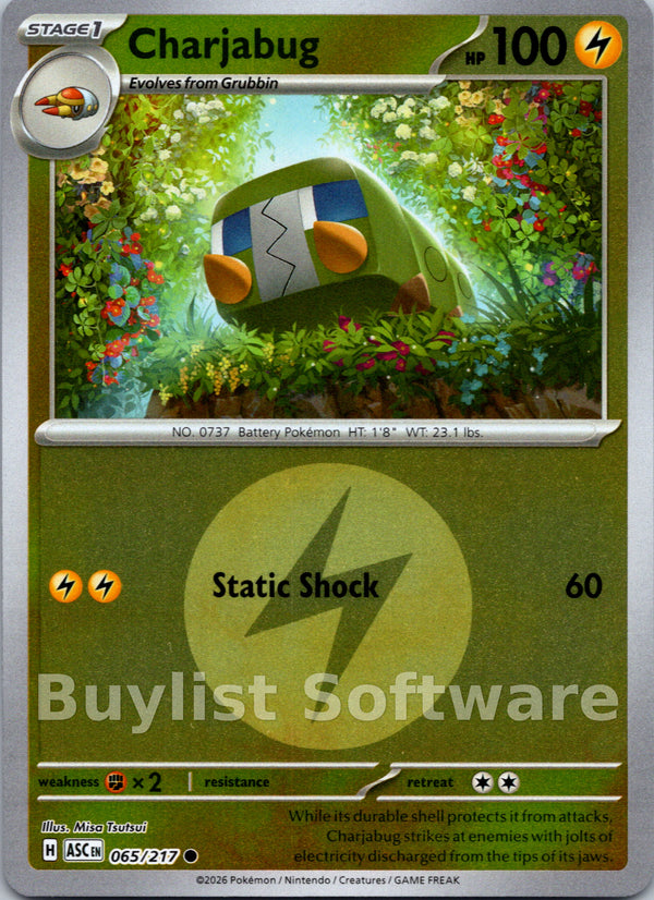 Charjabug (Energy Symbol Pattern) [065/217] [Ascended Heroes] Reverse Holofoil