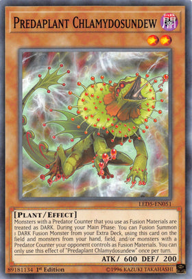 Predaplant Chlamydosundew [LED5-EN051] Common