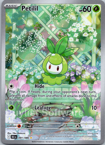 Petilil [091/086] [Black Bolt] Holofoil