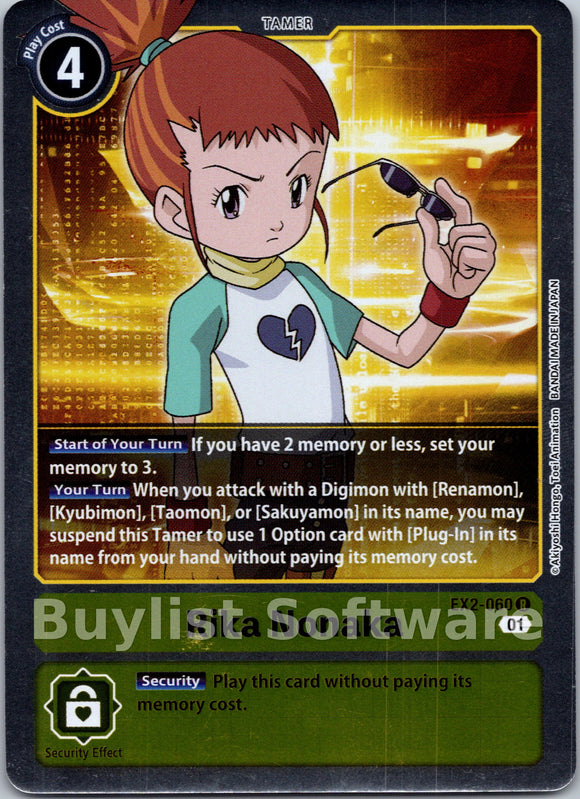 Rika Nonaka [EX2-060] [Digital Hazard] Foil