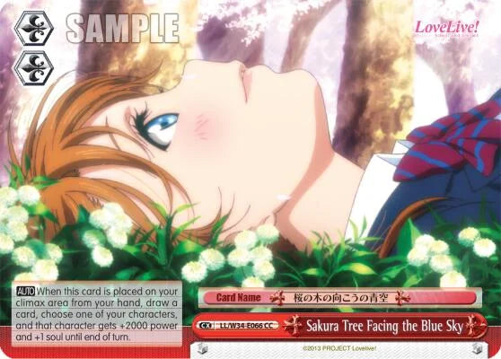 4d91944a-0b46-47fa-bea9-fb030e9bcfeb | ws-ll/w34-e066-cc-nf-lovelivevol2-cli-nm | Sakura Tree Facing the Blue Sky