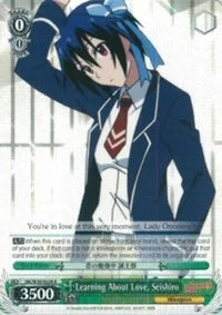 4d91944a-0b46-47fa-bea9-fb030e9bcfeb | ws-nk/w30-e028-r-nf-nisefalslove-rar-nm | Learning About Love, Seishiro
