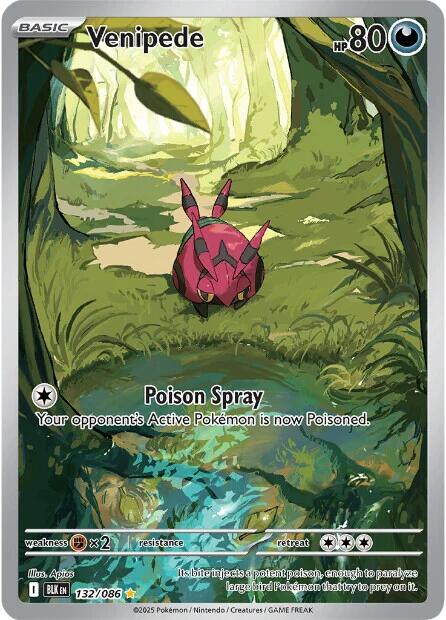 Venipede [132/086] [Black Bolt] Holofoil