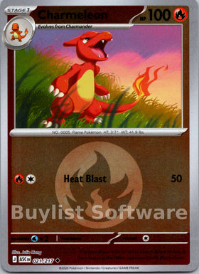 Charmeleon (Energy Symbol Pattern)