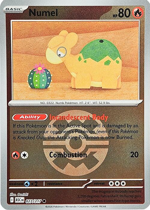 Numel - 027/217 (Quick Ball) [027/217] [Ascended Heroes] Reverse Holofoil