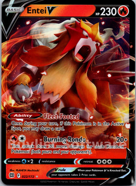 Entei V