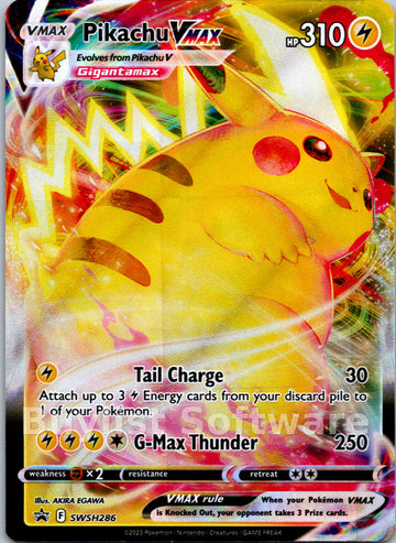 Pikachu VMAX [SWSH286] [Sword & Shield Promo Cards] Holofoil