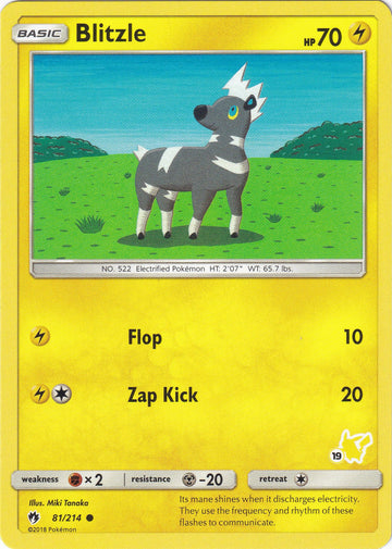 Blitzle (#19 Pikachu Stamped)