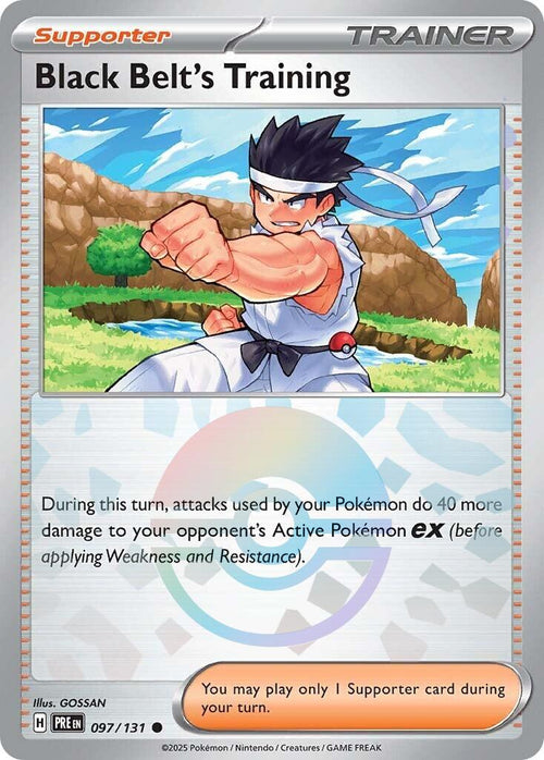 Black Belt's Training (Poke Ball Pattern)
