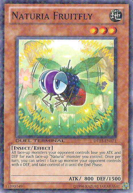 Naturia Fruitfly [DT03-EN071] Common - Duel Kingdom