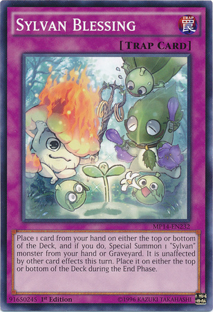 Sylvan Blessing [MP14-EN232] Common - Duel Kingdom