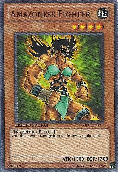 Amazoness Fighter [GLD3-EN005] Common - Duel Kingdom