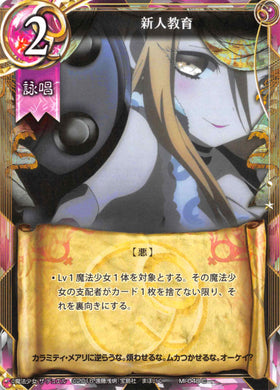 Educating the Newcomer (Japanese) - Duel Kingdom