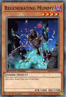 Regenerating Mummy [SBCB-EN177] Common - Duel Kingdom