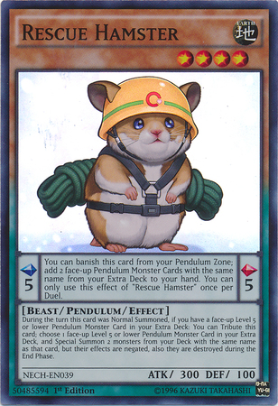 Rescue Hamster [NECH-EN039] Super Rare - Duel Kingdom