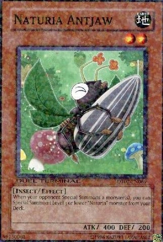 Naturia Antjaw [DT02-EN069] Common - Duel Kingdom