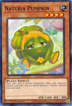 Naturia Pumpkin [HAC1-EN117] Common - Duel Kingdom
